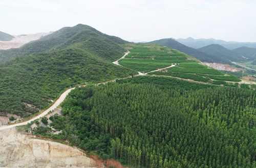 采礦	廠(chǎng)植被恢復(fù)區(qū)域